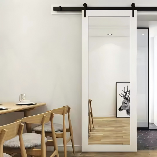 Aluminum Barn Door With Mirror