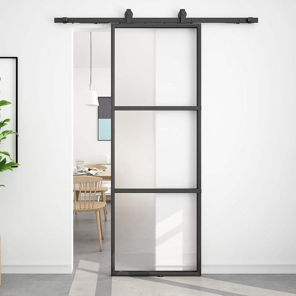Modern 3 Lite Metal Frame Glass Barn Door